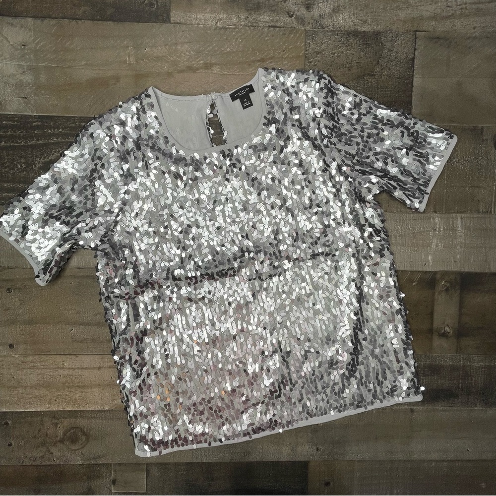 Ann Taylor Shimmery Top size XS